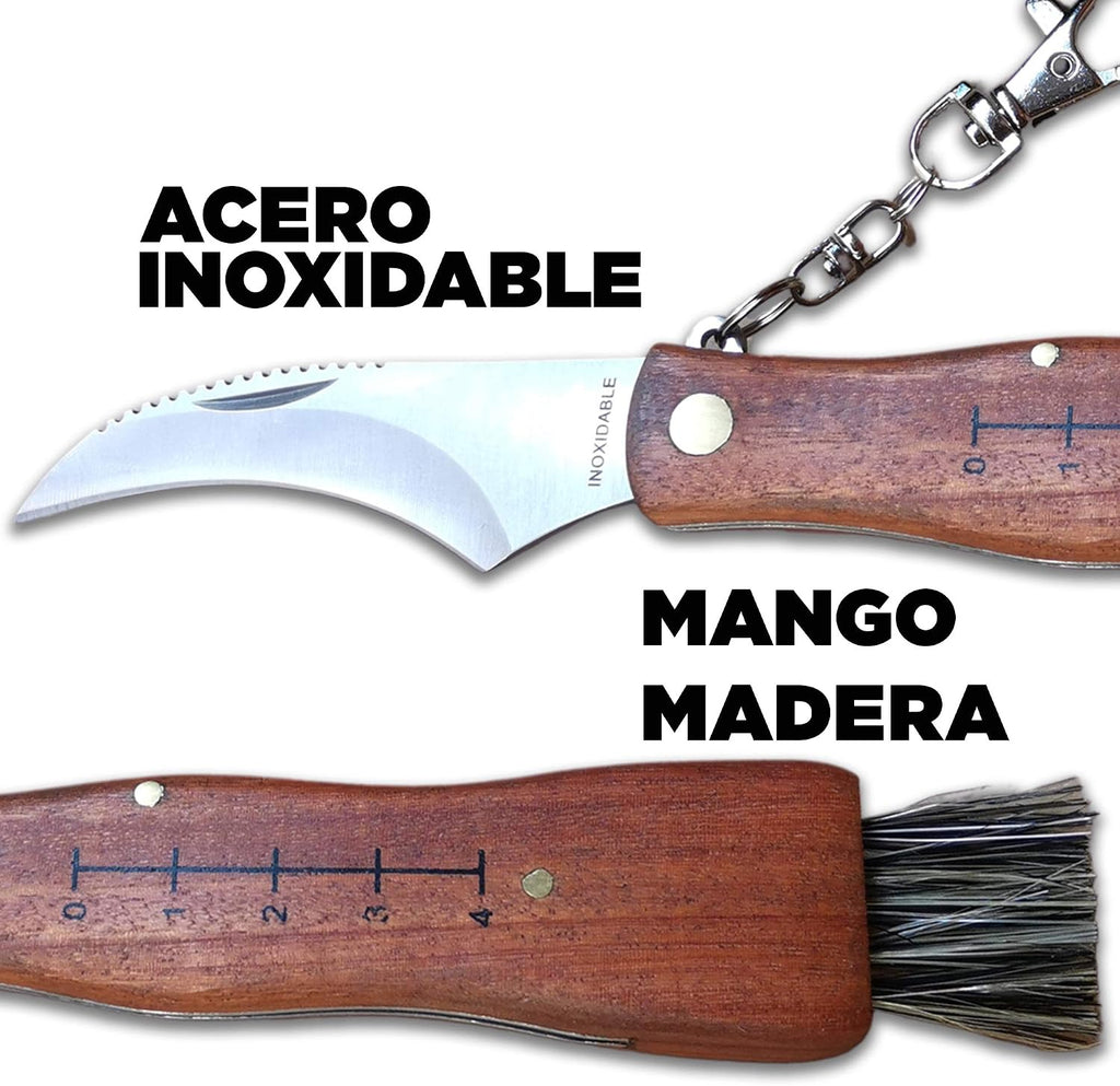 coltello per funghi, in acciaio inox, con custodia, coltello incluso, coltello micologica