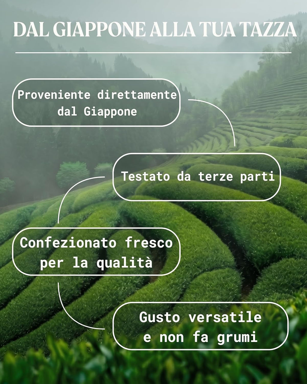 NaturaleBio Matcha Premium Giapponese Bio in Polvere con L-Teanina