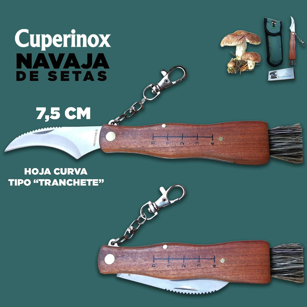 coltello per funghi, in acciaio inox, con custodia, coltello incluso, coltello micologica