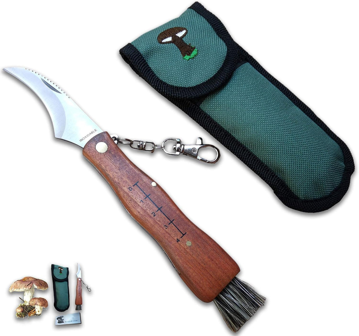 coltello per funghi, in acciaio inox, con custodia, coltello incluso, coltello micologica