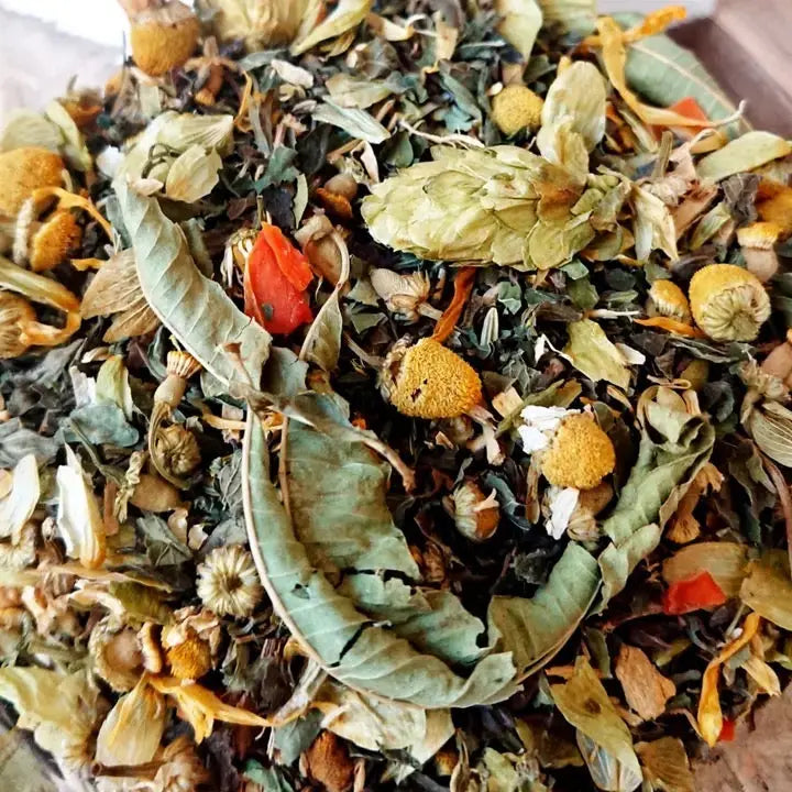 Infuso Detox Digestione - Finocchio Liquirizia Menta (6 Pezzi) - Infusée