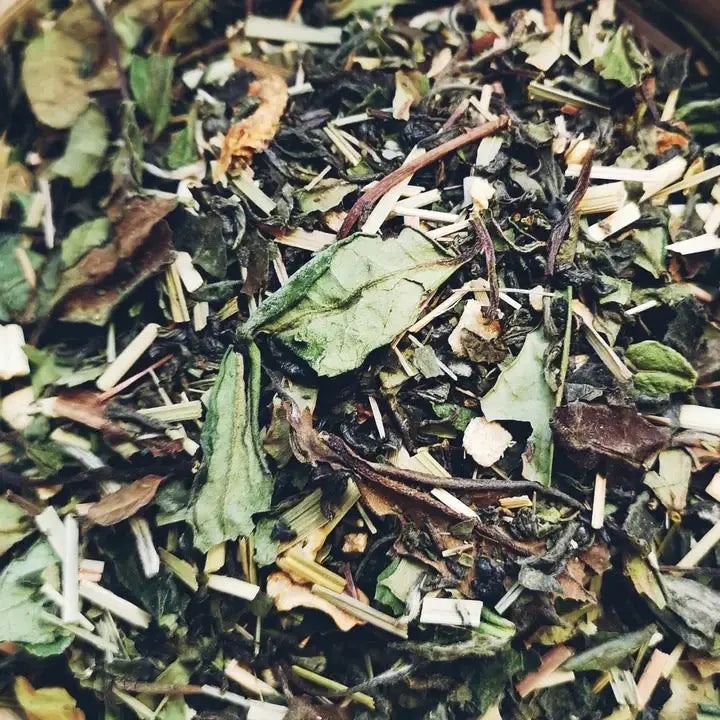 Gift Box Pure Balance Ritual – Tè Detox e Ginger Lemon Biologici + Teiera | Infusée - Infusée